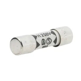 0.5A 250V Fast-Acting 5x20mm Ceramic Fuses (2-Pack)