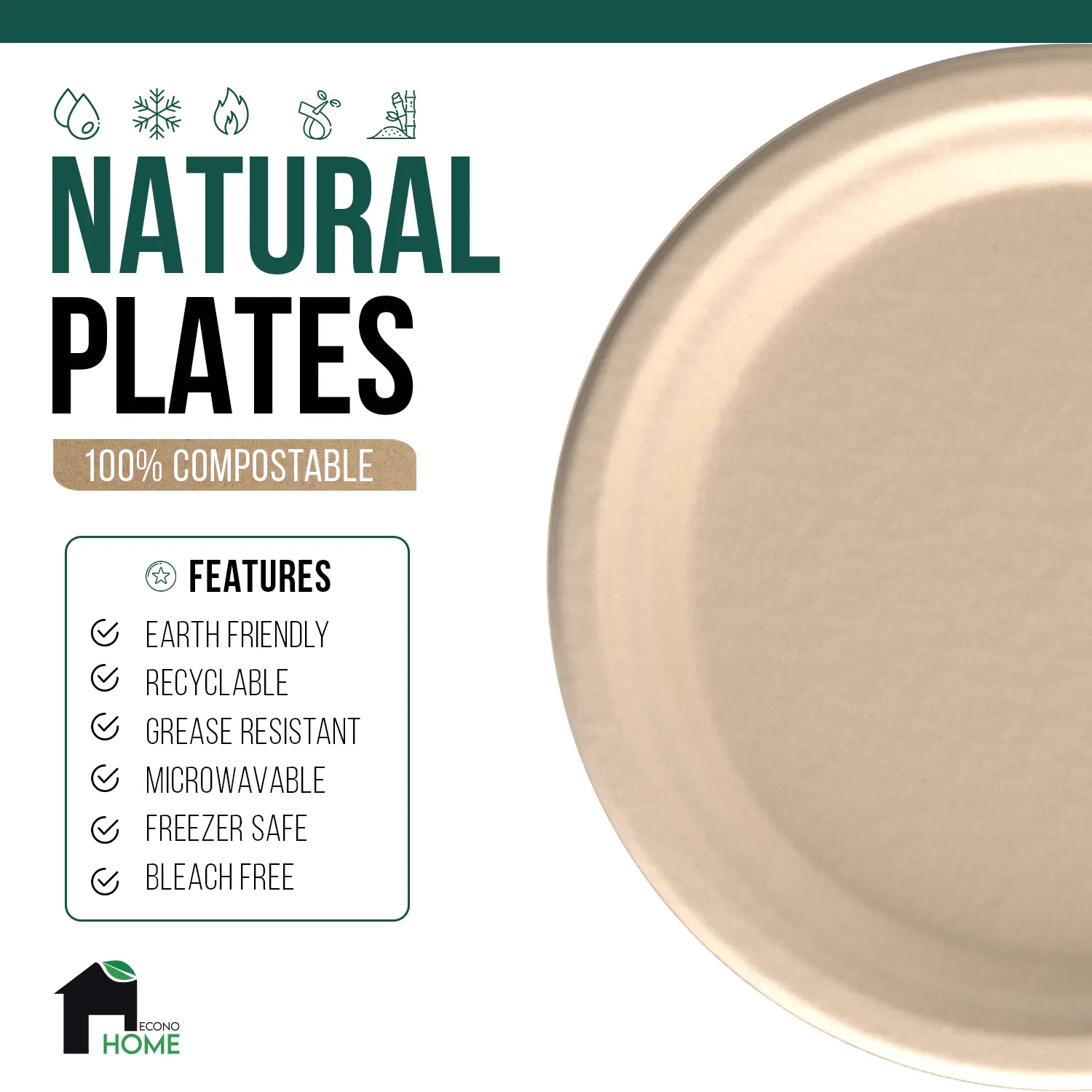 Compostable Paper Plates