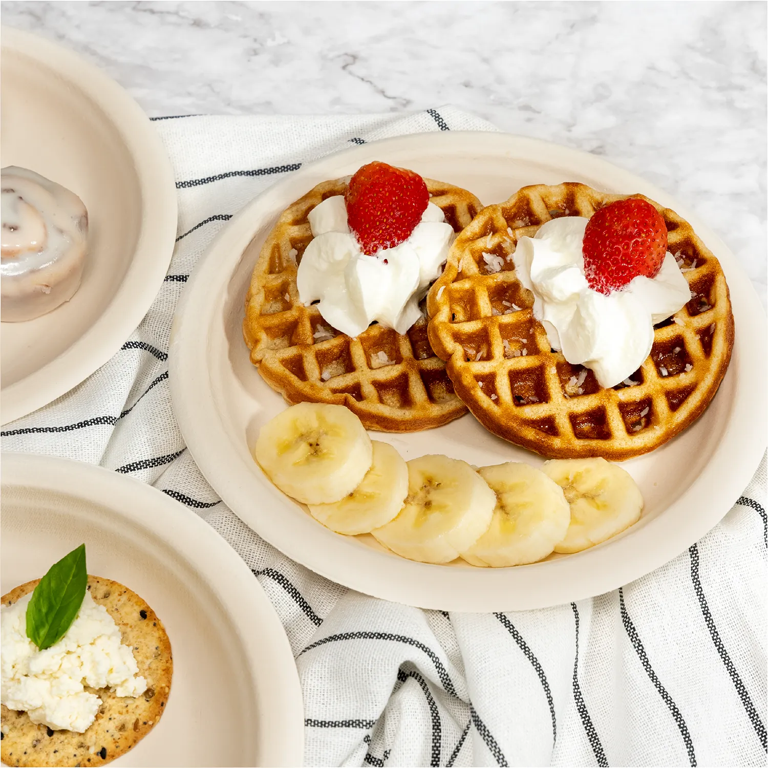 Compostable Paper Plates