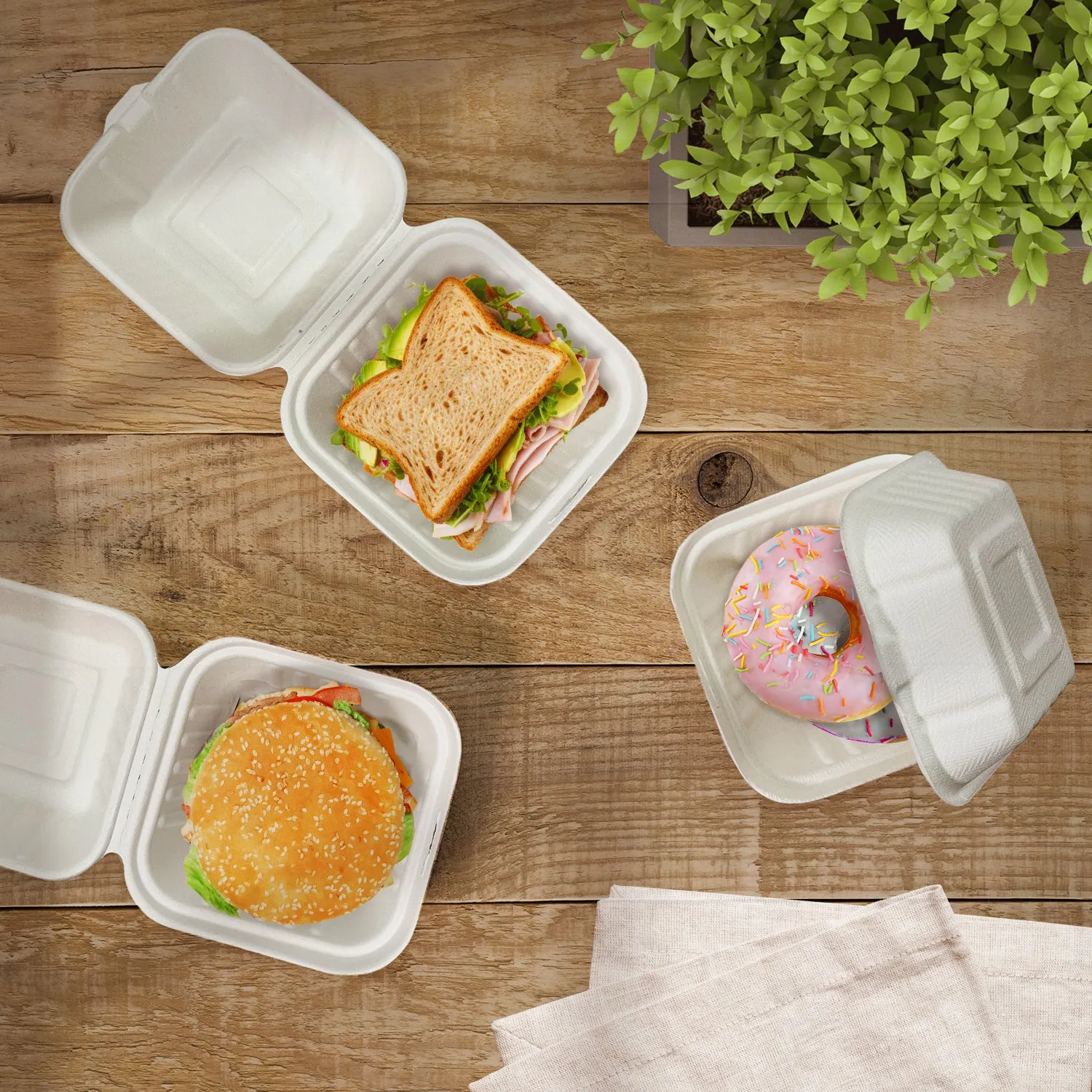 Compostable Paper Plates