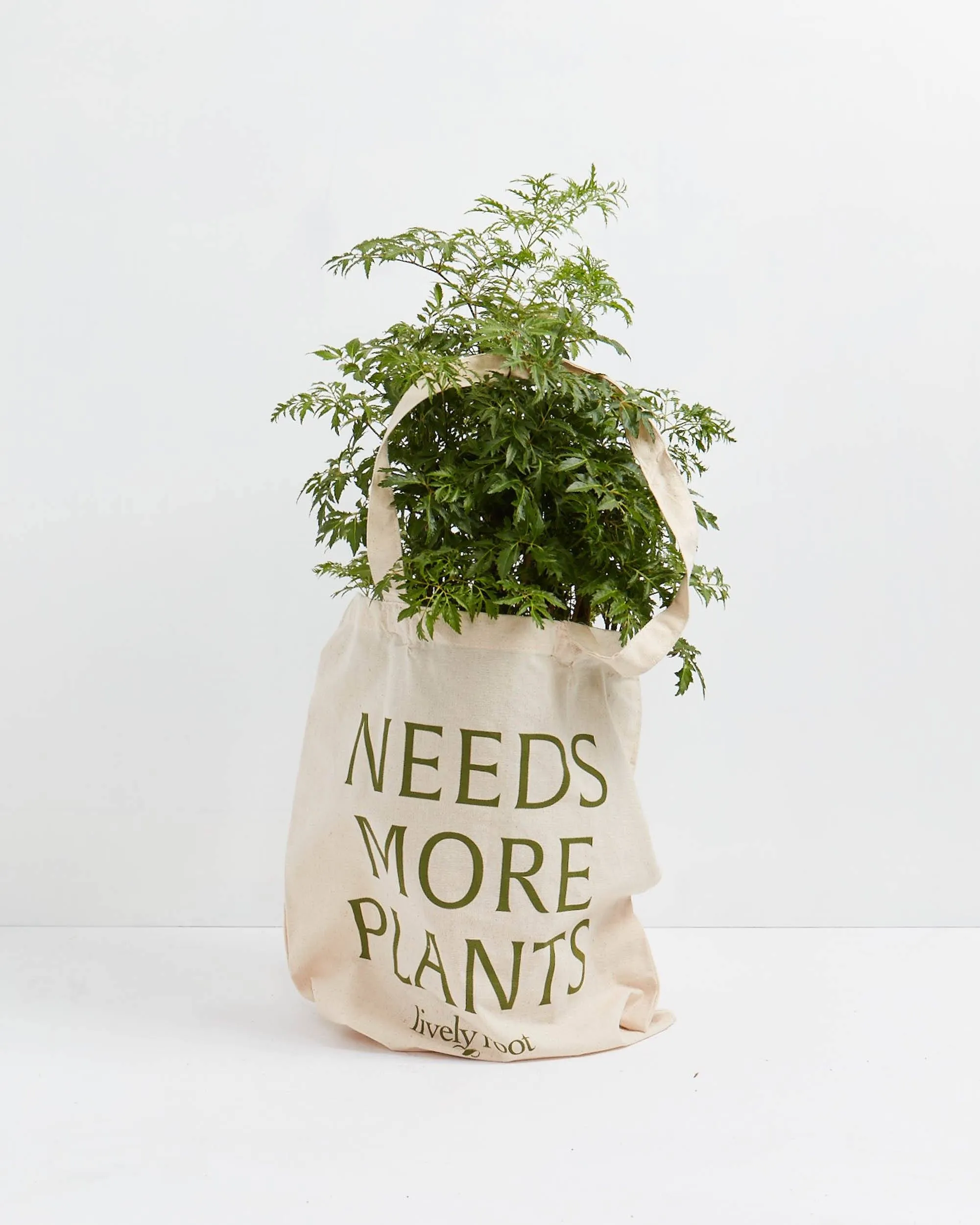 Needs More Plants Tote