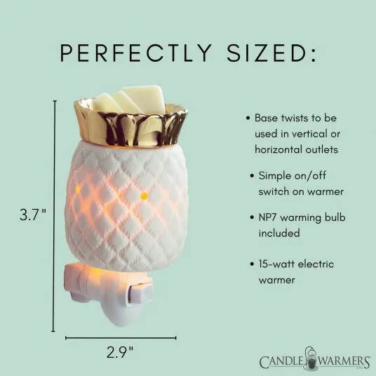 Pineapple Pluggable Warmer